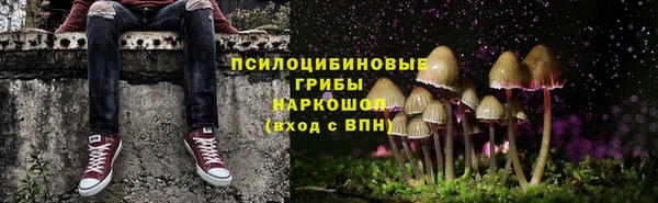 ALPHA PVP Куйбышев