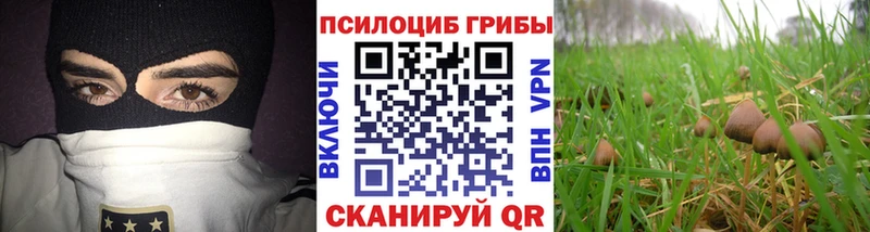 Купить  Красновишерск  Галлюциногенные грибы мицелий 